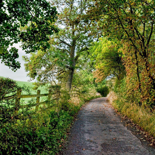 Hd-156535-ascw156535