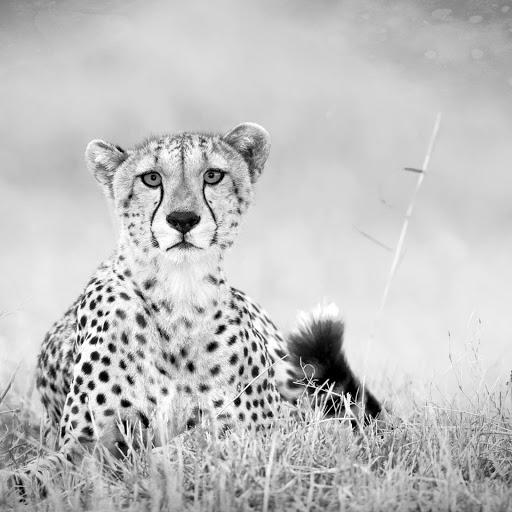 Hd-142345-ascw142345