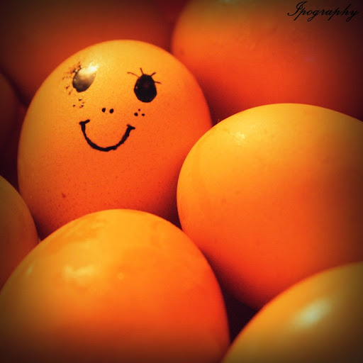 SINAR UNGGAS Poultry Shop: Harga telur ayam ras