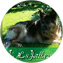 Image Google de Thierry Gosset