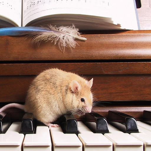 Hd-155436-ascw155436