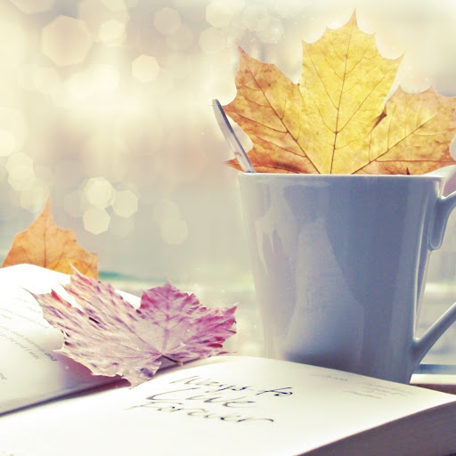 Hd-132222-ascw132222