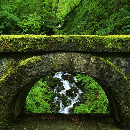 Hd-133676-ascw133676