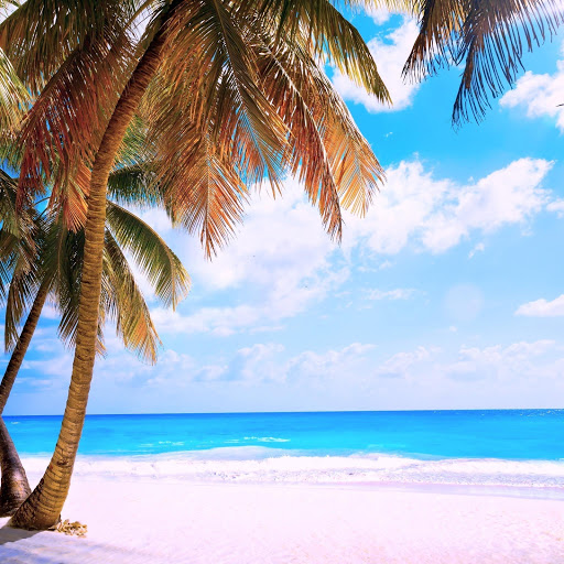 Hd-160035-ascw160035