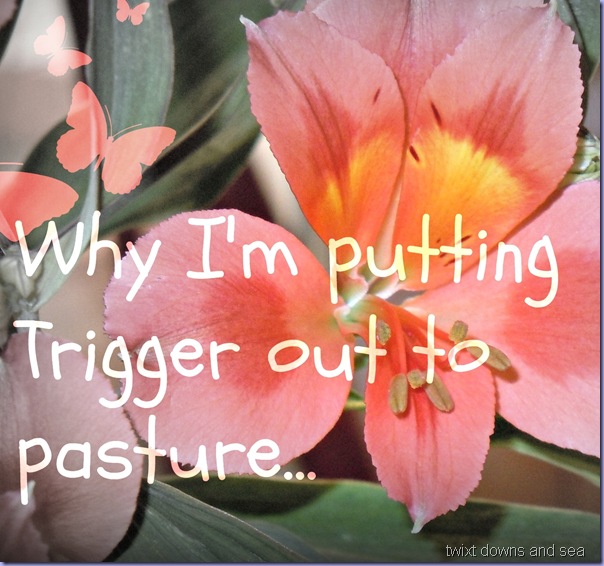 why I'm putting Trigger out to pasture  twixt downs and sea