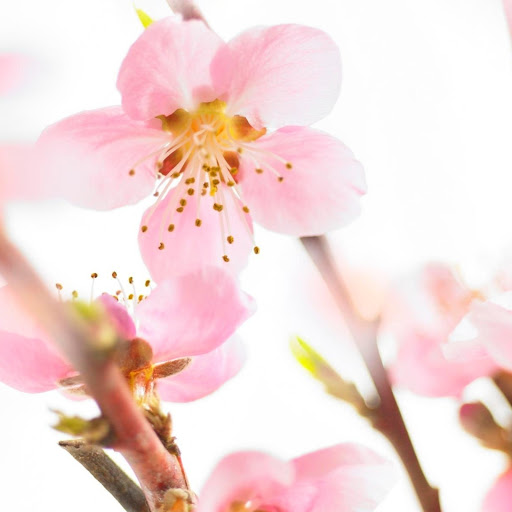 Hd-171108-ascw171108