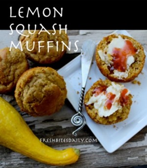 lemon-squash-muffins