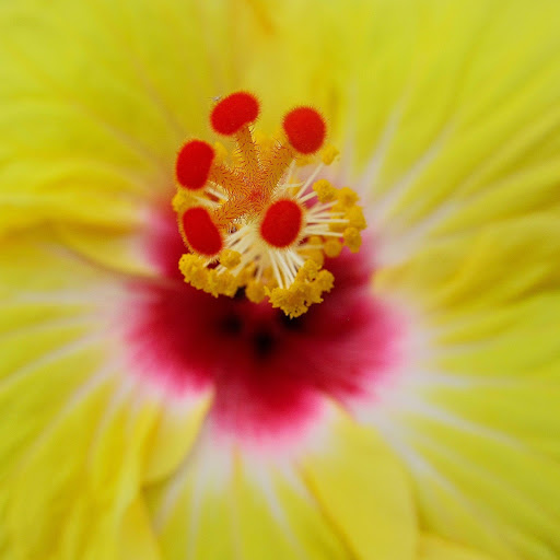 Hd-142486-ascw142486