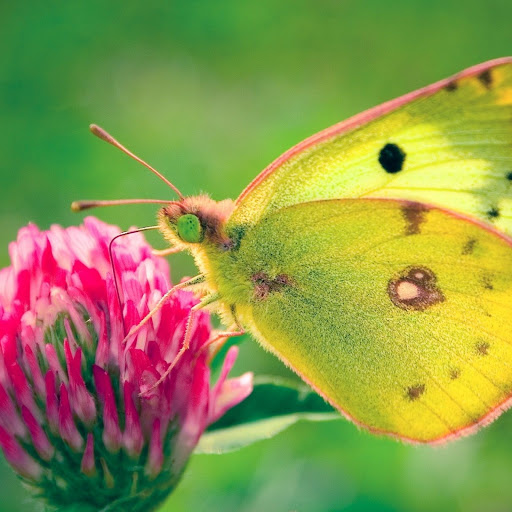 Hd-148487-ascw148487