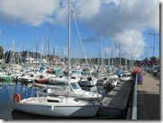 IMG_4868 IMG_4868