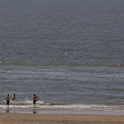 IMG_4906.jpg