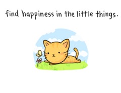 find-happiness-in-the-little-things-smile-quote