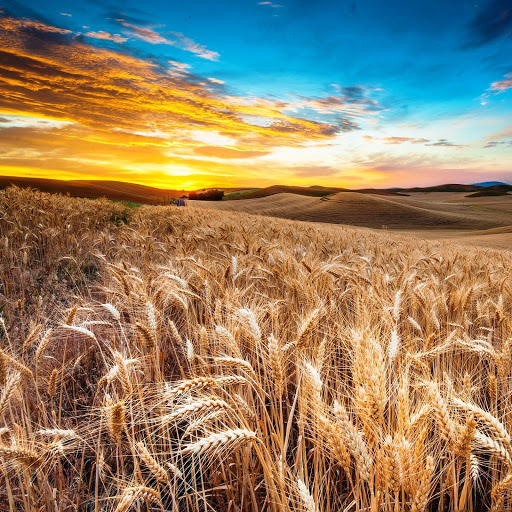 Hd-142229-ascw142229