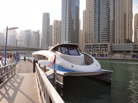 Vas croaziera la Dubai Marina