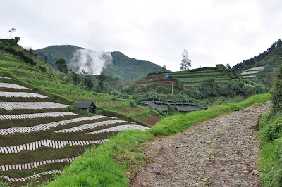 DSC_0882.jpg
