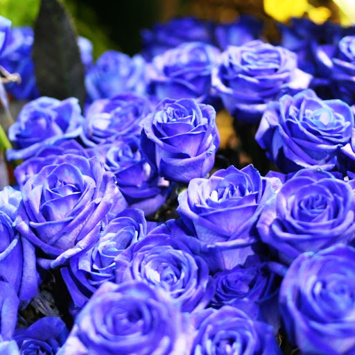 Hd-146308-ascw146308