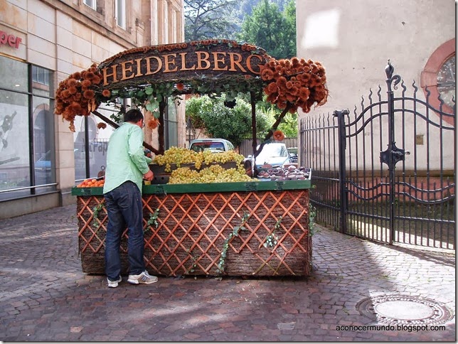 58-Heidelberg. Vendedores de uvas en Hauptstrasse - P9020089