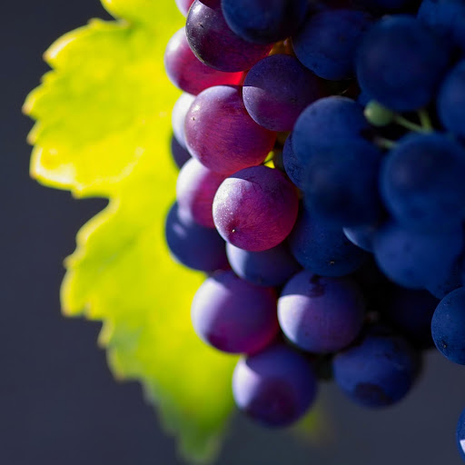 Hd-132326-ascw132326