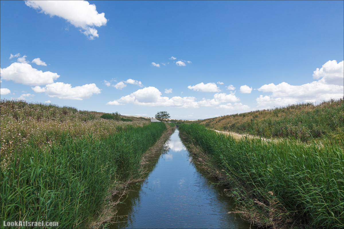 Песах в Долине Родников | Passover in Springs Valley| פסח בעמק המעיינות | LookAtIsrael.com - Фото путешествия по Израилю