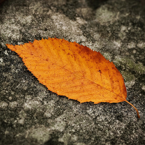 Hd-145471-ascw145471