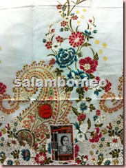 IMG_7917 IMG_7917