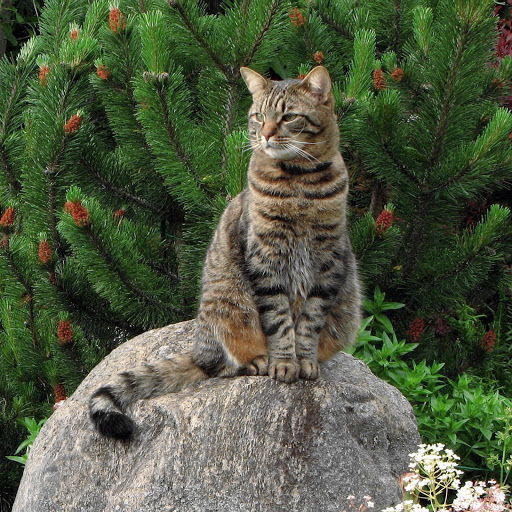 Hd-181658-ascw181658