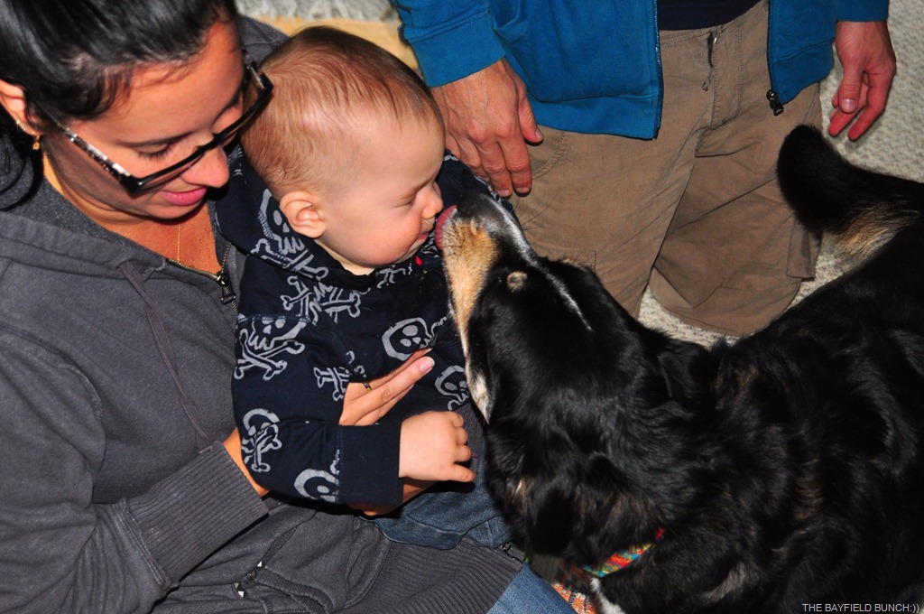 [DSC_0010%255B4%255D.jpg]