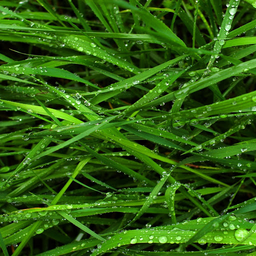 Hd-146711-ascw146711