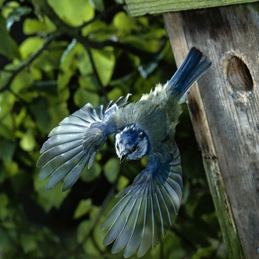 Hd-136496-ascw136496