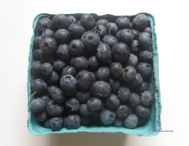 [Blueberries%255B5%255D.jpg]