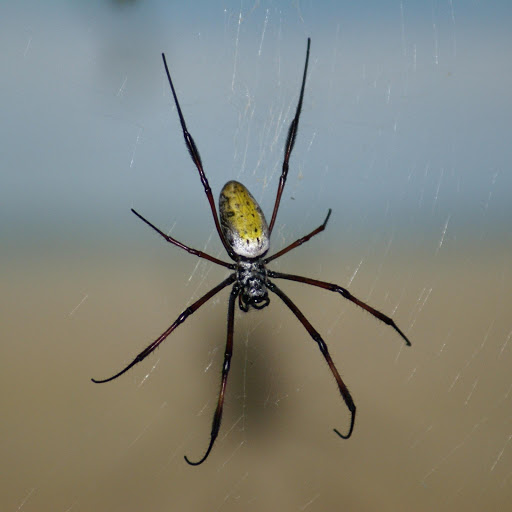 Hd-165185-ascw165185