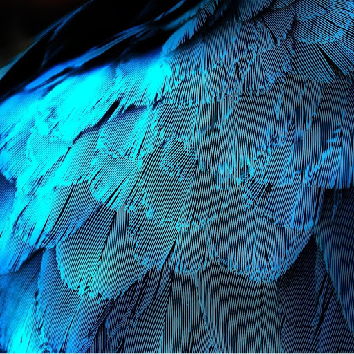 Hd-149796-ascw149796