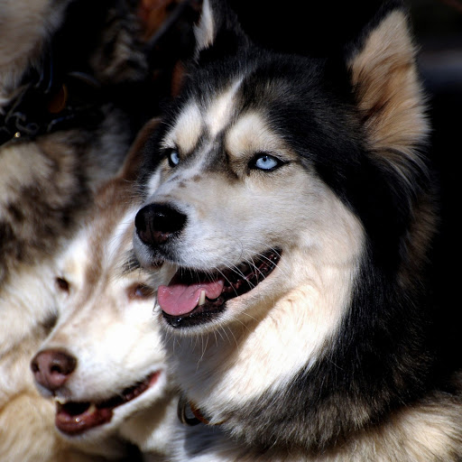 Hd-174772-ascw174772