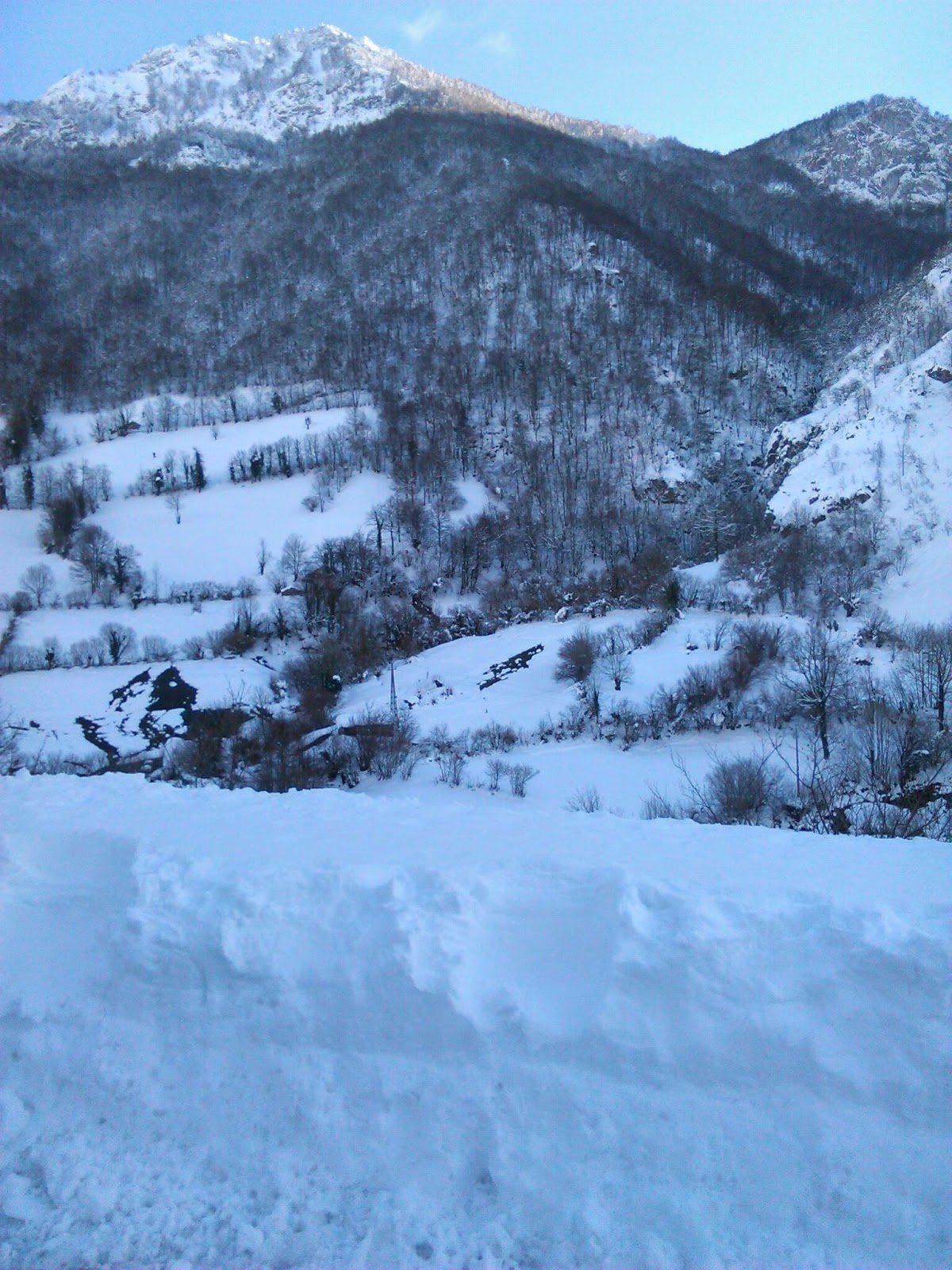 fresita40 Febrero entre nieve