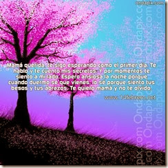 madres fallecidad (42) madres fallecidad (42)