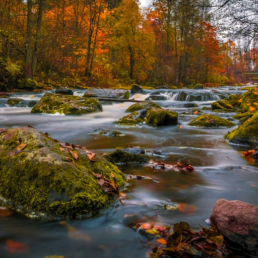 Hd-161117-ascw161117