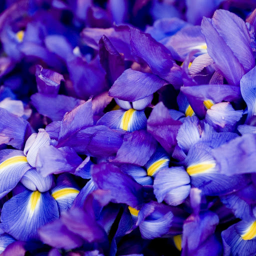 Hd-171741-ascw171741