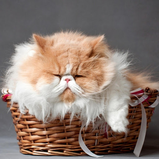 Hd-177634-ascw177634