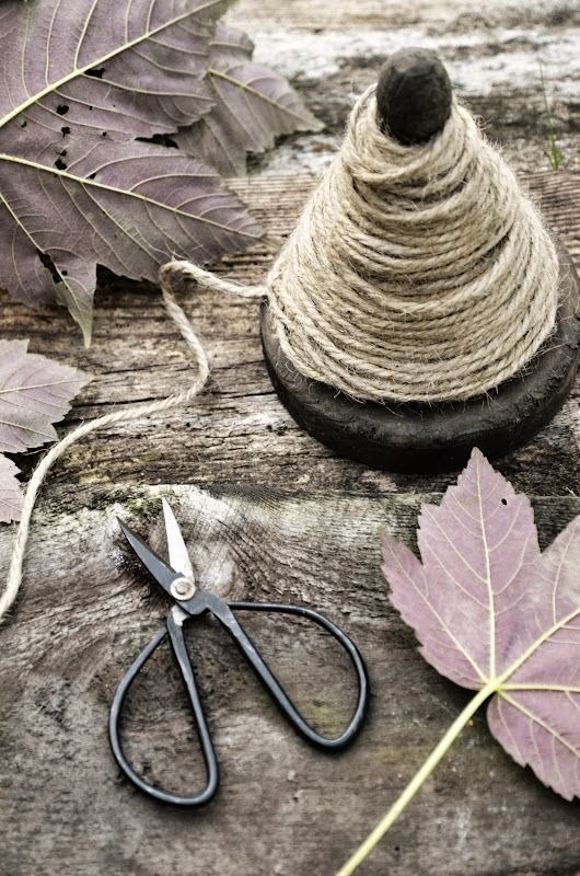 [51db25f4de112e241018bf52b5468e452.jpg]