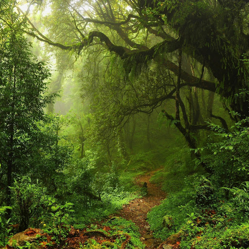 Hd-171598-ascw171598