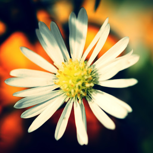 Hd-162989-ascw162989