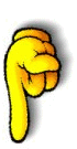 DEDO 0011 DEDO 0011
