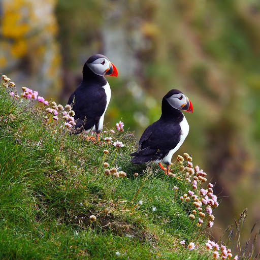 Hd-174173-ascw174173