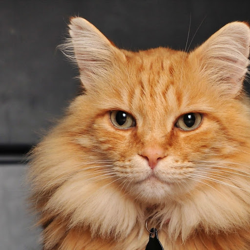 Hd-143002-ascw143002