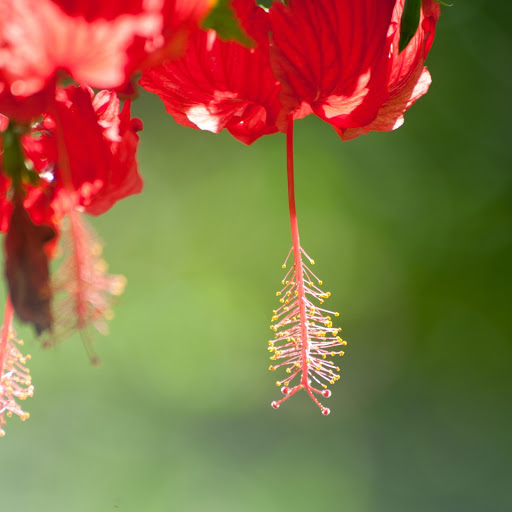 Hd-156579-ascw156579