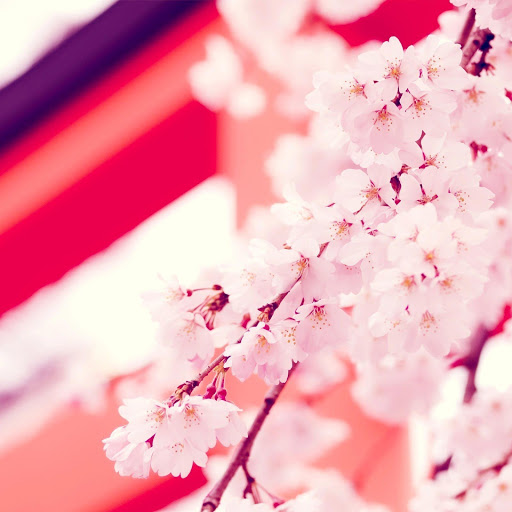 Hd-145643-ascw145643