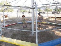 IMG_8741 IMG_8741