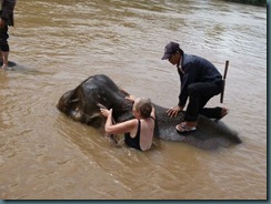 223 - Swimming and washing elephant