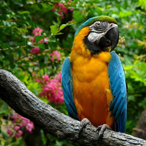 Hd-141894-ascw141894