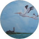 Sue Bonnar - Artists profile picture